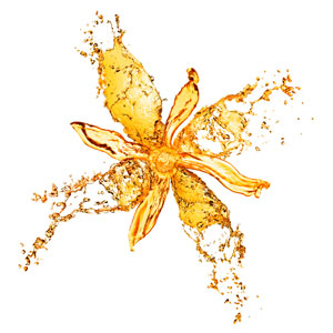 orange-flower