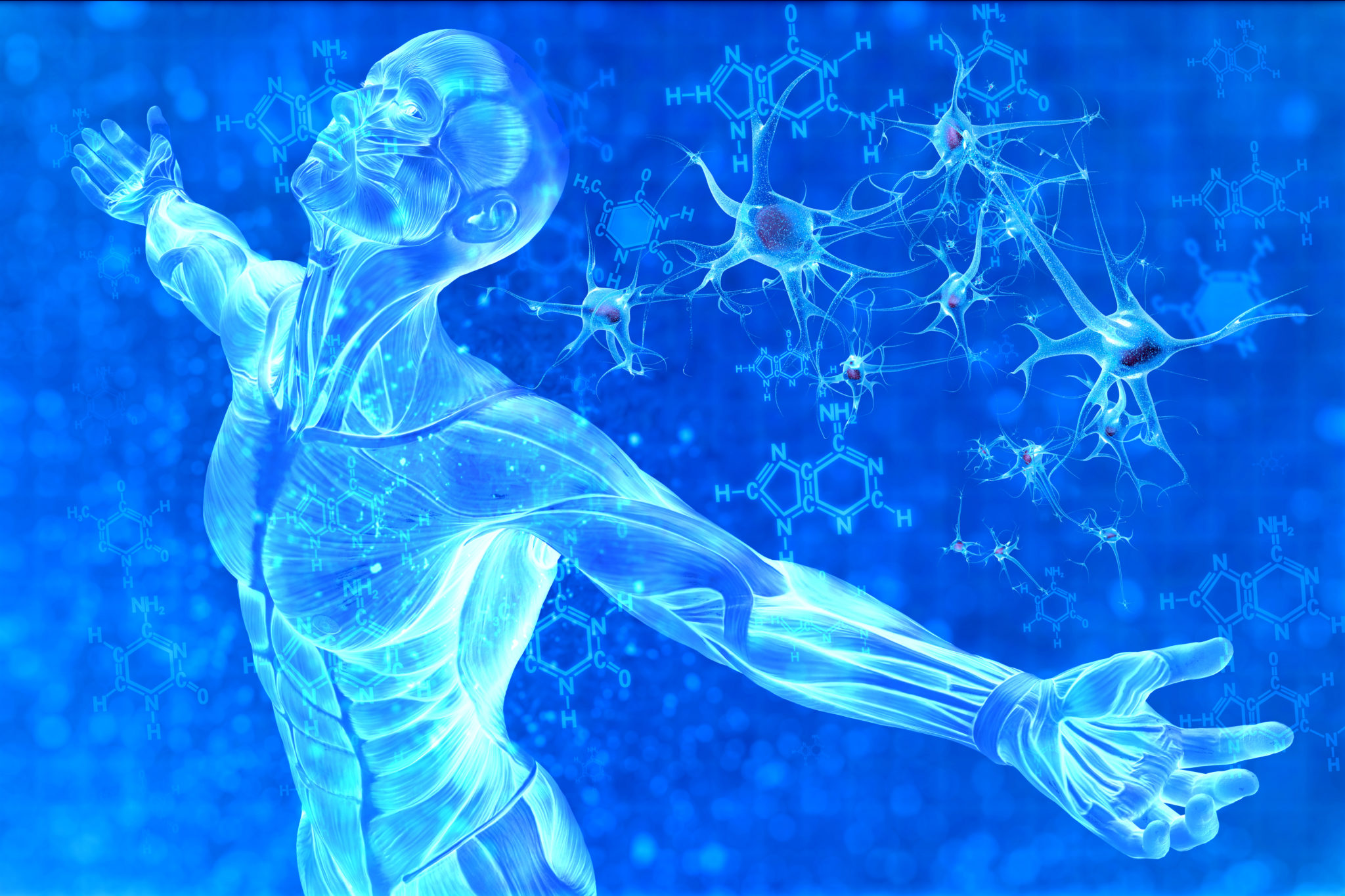 Организм полностью восстанавливается. Человек на синем фоне. Регенерация клеток человека. Клетка организма.
